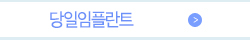 당일임플란트